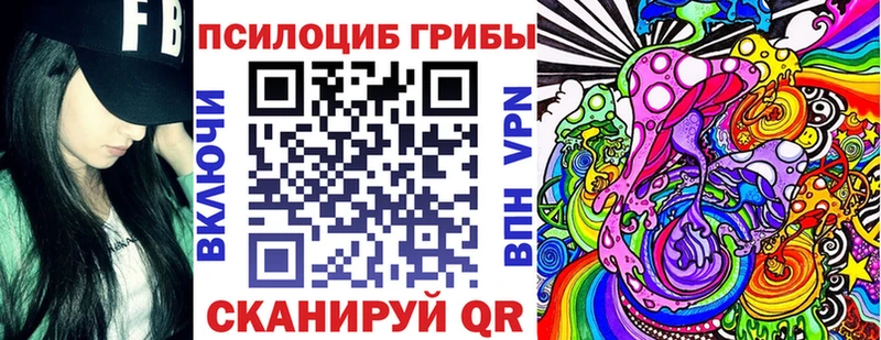 Псилоцибиновые грибы Cubensis Красавино